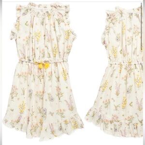 Zimmermann Kids' Jeannie Floral Print Ruffle Trim Cotton Dress